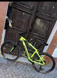 Rockrider