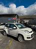 fiat-panda