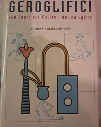 Libro su geroglifici antico Egitto