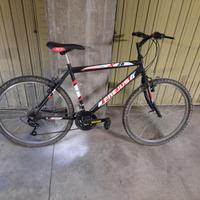 Biciclette in coppia