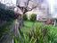 Immagine 14
