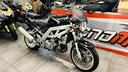 suzuki-sv-1000-base-12-mesi-garanzia