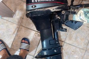 Motore evinrude 15cv