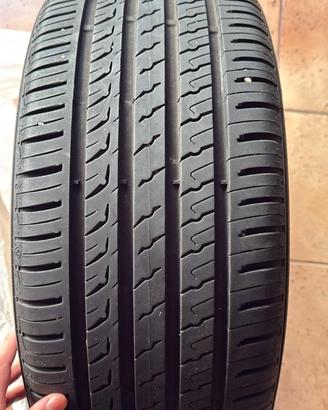 Gomme estive