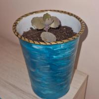Vasetto in plastica con Kalanchoe laxiflora🌺🪴