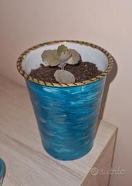 Vasetto in plastica con Kalanchoe laxiflora🌺🪴