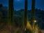 Immagine 6