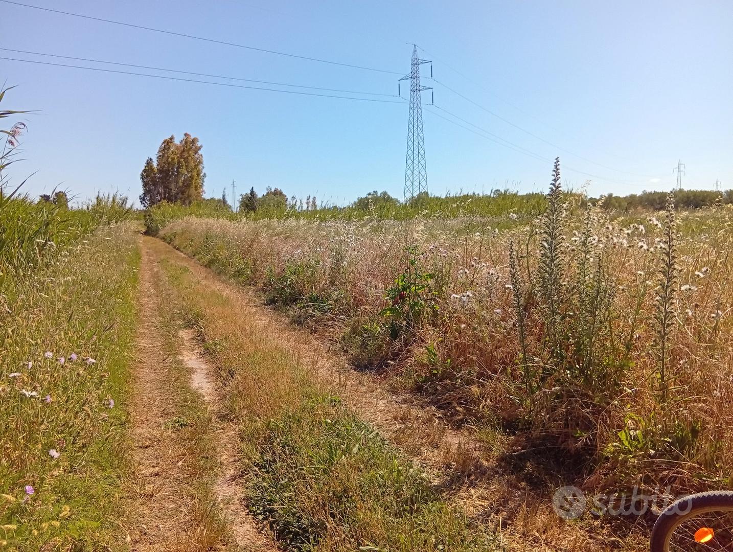 Terreno agricolo Villasor - Vista 2