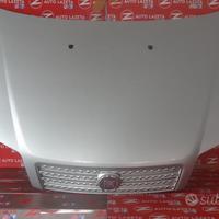 Cofano Anteriore grigio Fiat Punto 2012 3 Serie 19