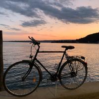 Bici da città uomo con portapacchi e cestino