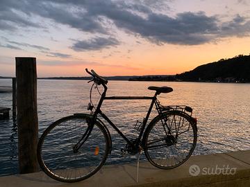 Bici da città uomo con portapacchi e cestino