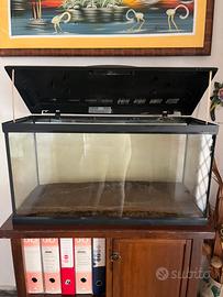 Acquario usato