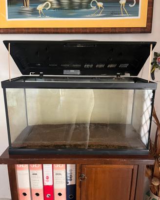 Acquario usato