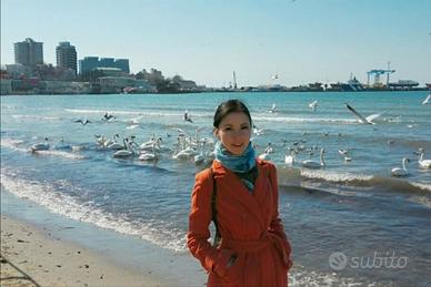 Segretaria, commessa, baby sitter o altro