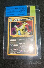 Pokemon Tyranitar Crossing the ruin's no.248