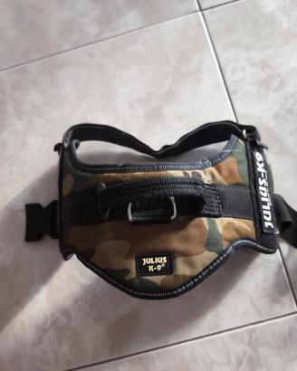 pettorina per cane taglia media 