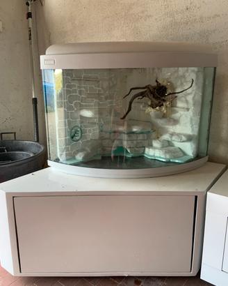 Acquario  / Teca ad angolo