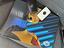 Immagine 21