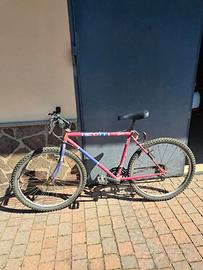Bici Scott Adulto