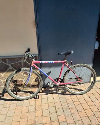 Bici Scott Adulto