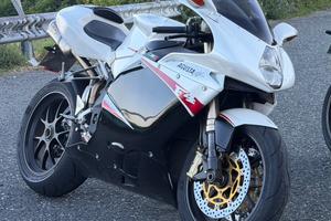 Mv agusta F4 312R 1+1 2008