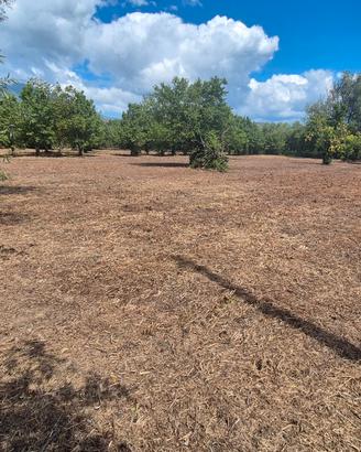 Terreno pianeggiante 2.462mq con deposito 14mq