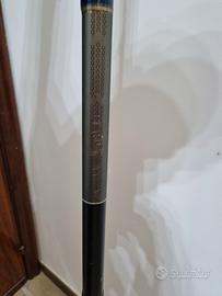 canna bolognese falcon 9 metri