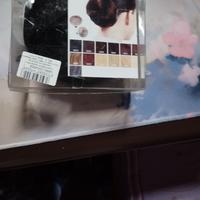 chignon 