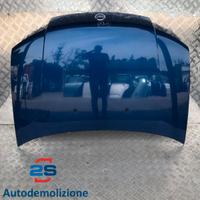 COFANO ANTERIORE FIAT PUNTO (99-03)