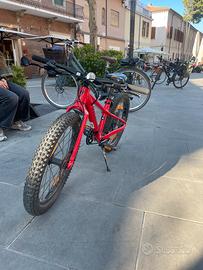 Bucicletta specialized riproc 20”