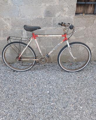 bicicletta
