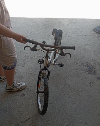 bicicletta 