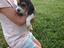 Immagine 5