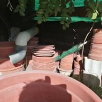 Vasi da giardino in terracotta e plastica