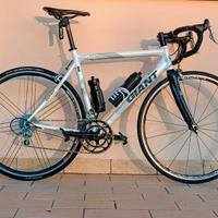 BDC GIANT