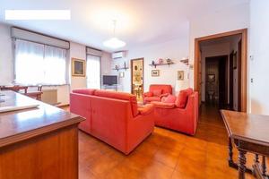 Stanza per studentesse