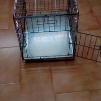 gabbia per cane, gatto