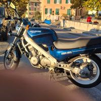Revere ntv 650 d'epoca asi da vetrina