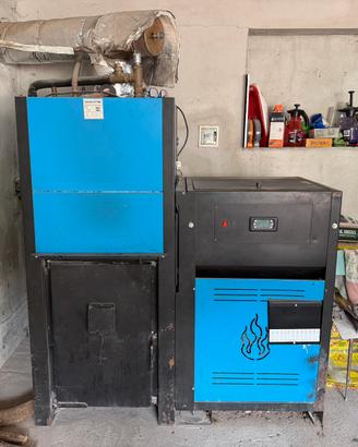 Caldaia pellet/legna 67kW Ecosystem