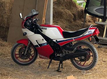 Yamaha RD 350 F 31K