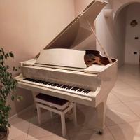 Pianoforte mezza coda bianco 