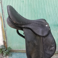 Selle inglesi da equitazione