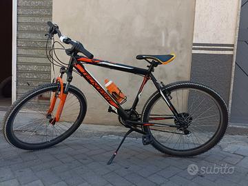 bicicletta 