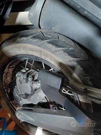 xt1200z Yamaha Supertenerè  tampone per valige 