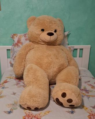 Orso gigante peluche