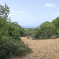 Terreno agricolo di 11000 mq Quartu Sant' Elena