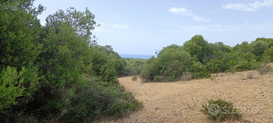 Terreno agricolo di 11000 mq Quartu Sant' Elena