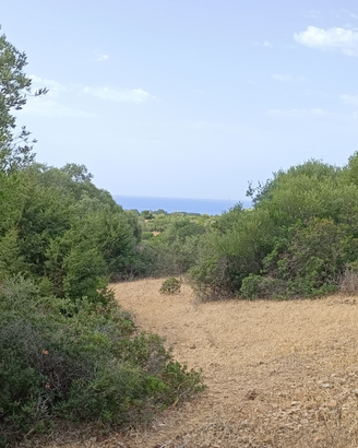Terreno agricolo di 11000 mq Quartu Sant' Elena