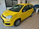 fiat-panda-1-0-firefly-s-s-hybrid-pop