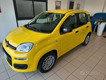 Fiat Panda 1.0 FireFly S&S Hybrid Pop